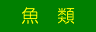 魚 類