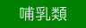 哺乳類