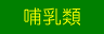 哺乳類