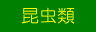 昆虫類