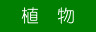 植 物