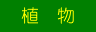 植 物