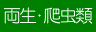 両生・爬虫類