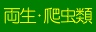 両生・爬虫類
